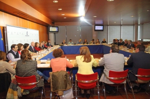 reunion pleno copclm