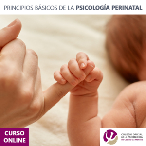 [1ª Ed.] Principios Básicos De La Psicología Perinatal