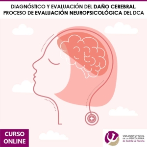 [1ª Ed.] Diagnóstico Y Evaluación Del Daño Cerebral. Proceso De Evaluación Neuropsicológica Del DCA